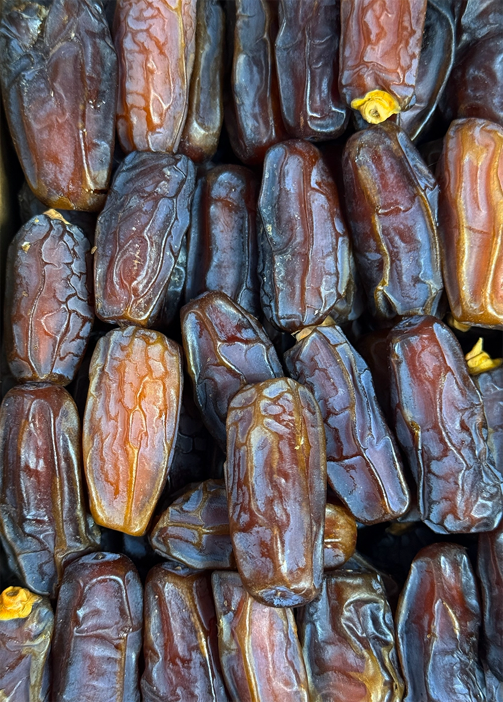 Mabroom Dates From Madina-VIP A Grade Quality Dates
