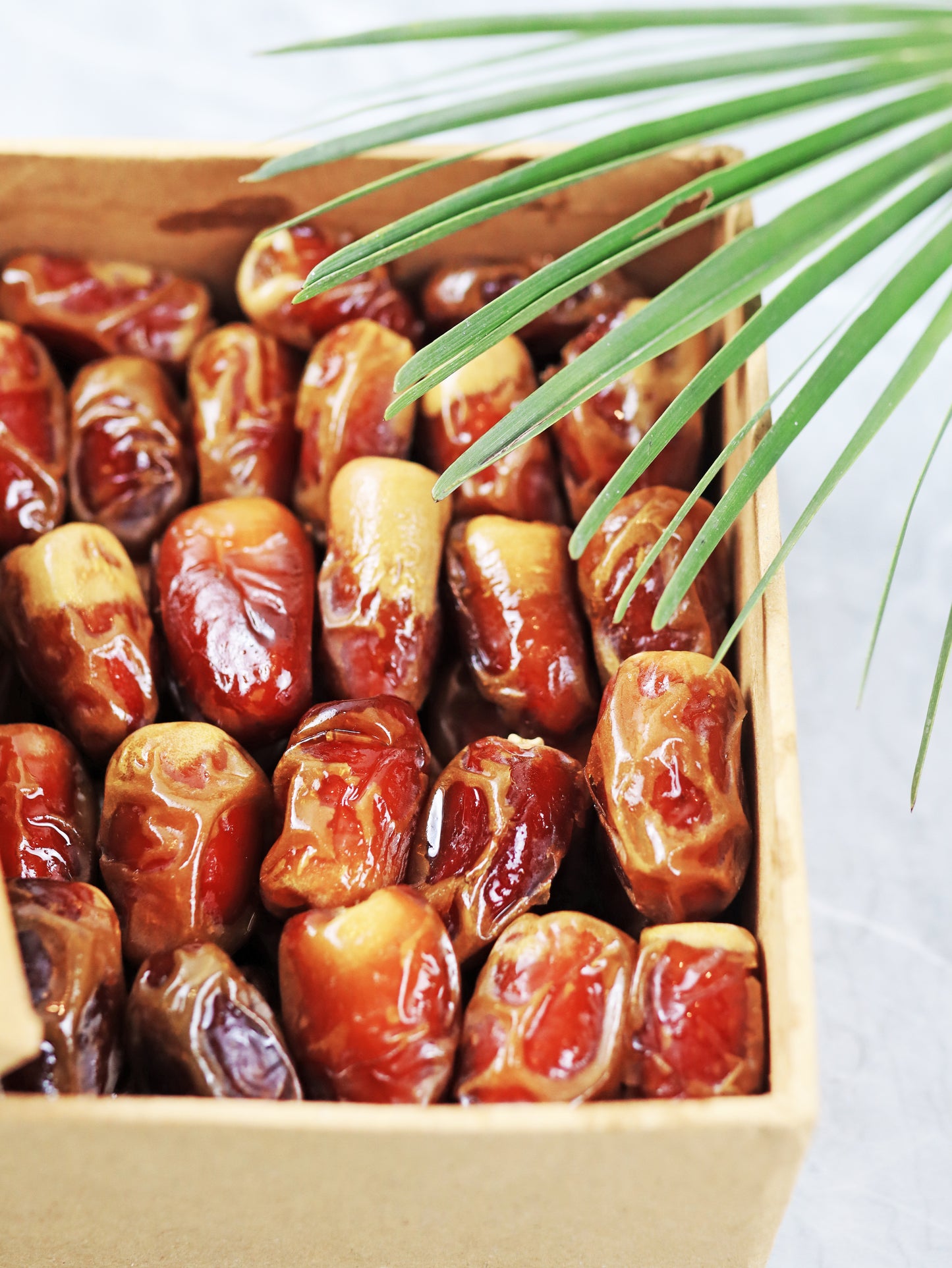 SUGAI DATES | WITH GUARANTEE | FRESHLY IMPORTED FROM MADINA | ZUL HAJ OFFER